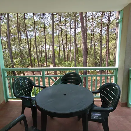 Ravissant 32m2 Dans Les Pins, Domaine Du Golf, Entre Et Ocean, Piste Cyclable, Parking Gratuit 公寓 拉卡诺